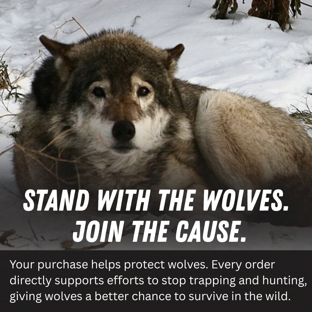 WolfMission 3-Piece Quilted Bedding Set