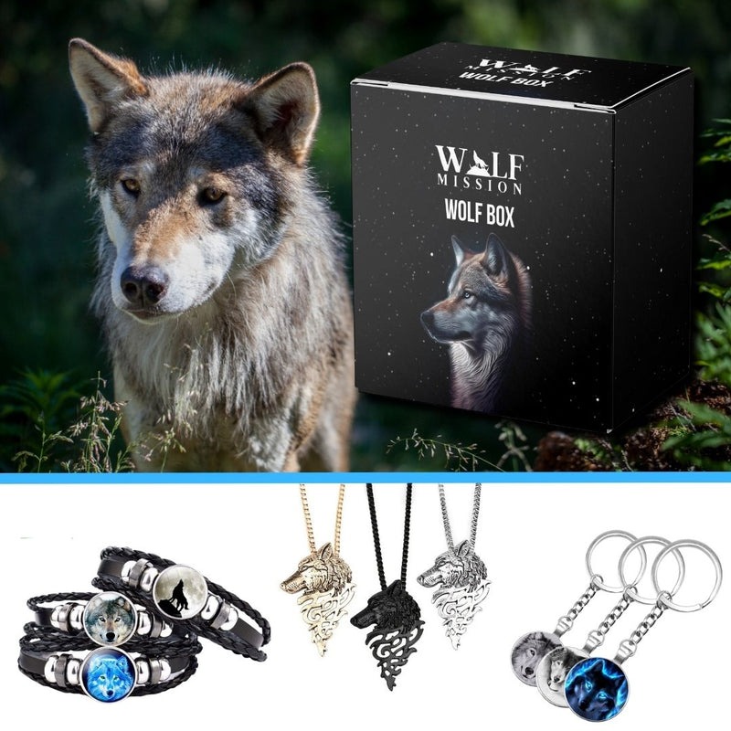Summer Wolf Box (Expiring 9+ Items)