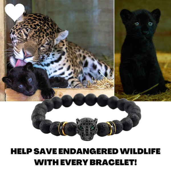 Save The Wildlife Bracelet